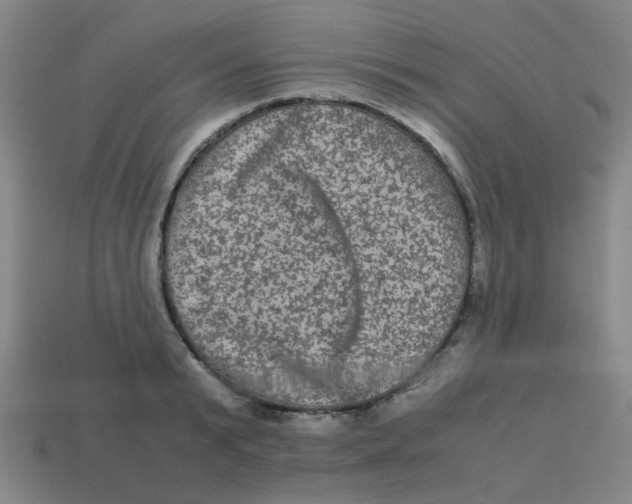 X0000113240799200910081256