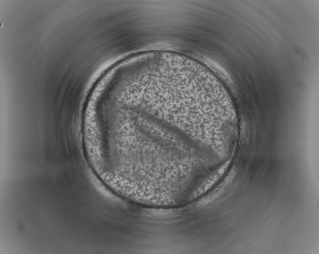X0000113240800200910081256
