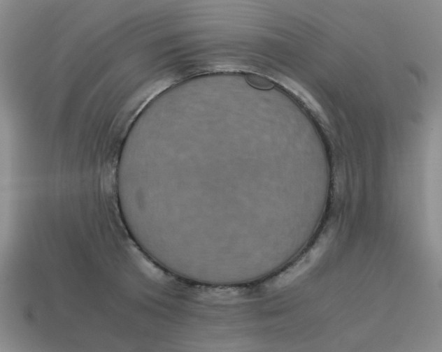 X0000113240801200910081256