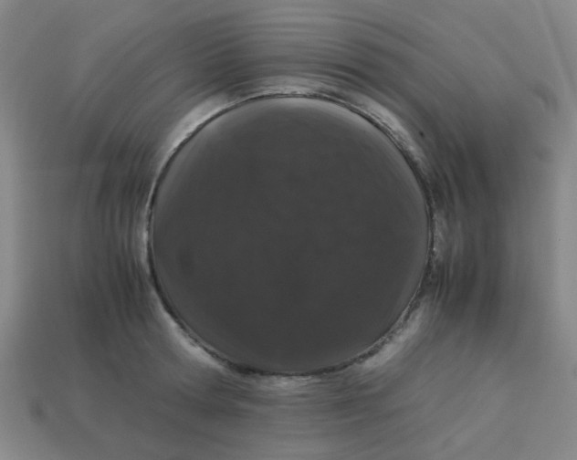 X0000113240802200910081256