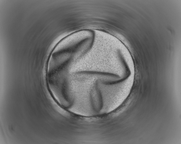 X0000113240803200910081256