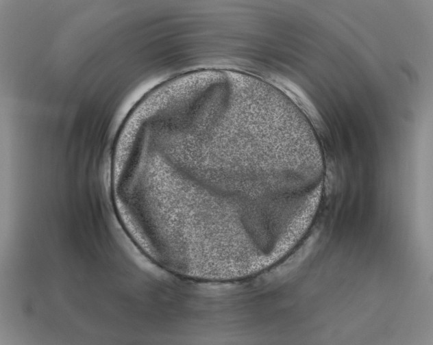 X0000113240804200910081256
