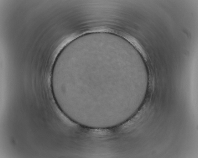 X0000113240805200910081256