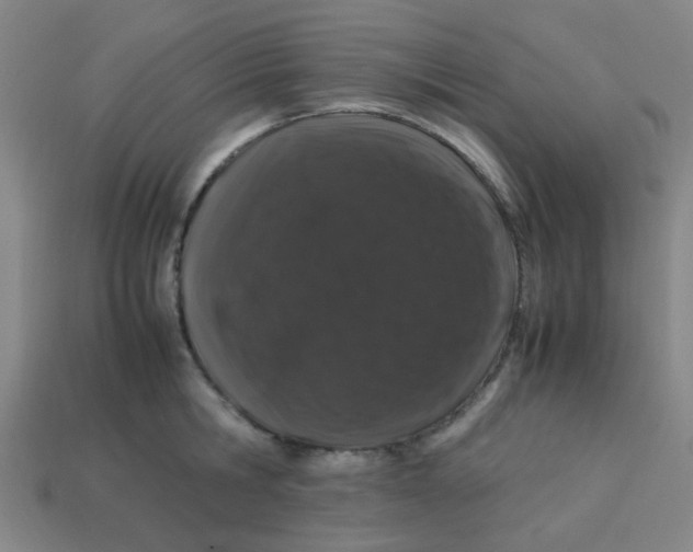 X0000113240806200910081256