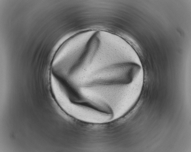 X0000113240808200910081256