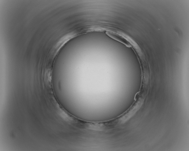 X0000113240809200910081256