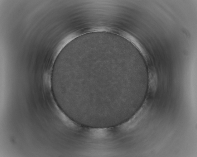 X0000113240810200910081256
