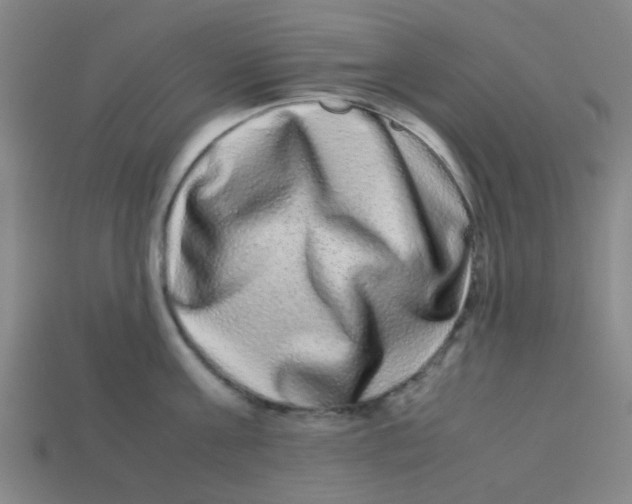 X0000113240811200910081256