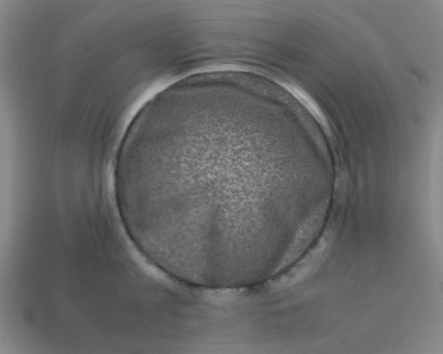 X0000113240813200910081256