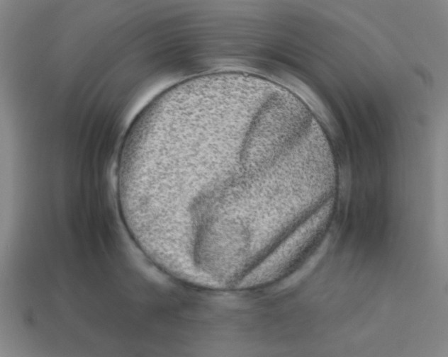 X0000113240814200910081256