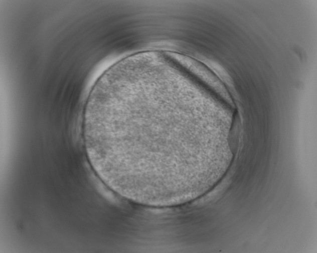 X0000113240816200910081256