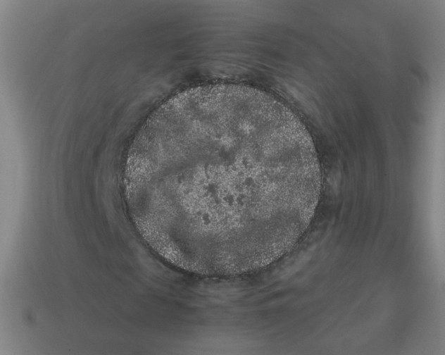 X0000113240817200910081256