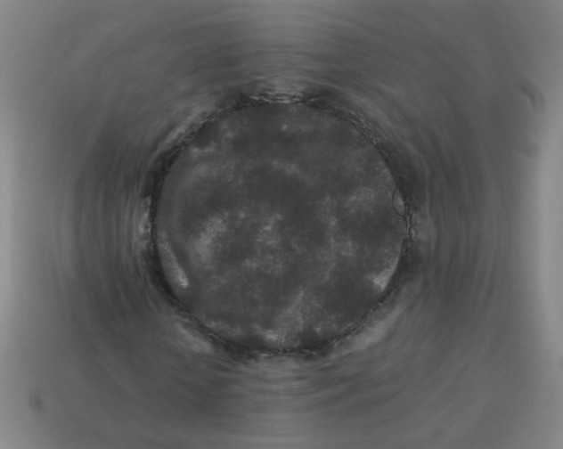 X0000113240818200910081256