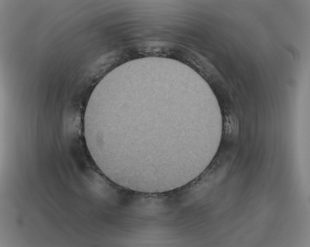 X0000113240820200910081256