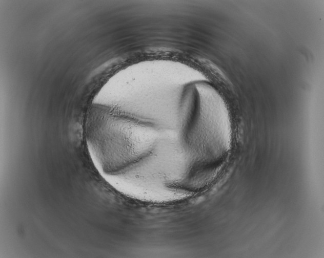 X0000113240821200910081256