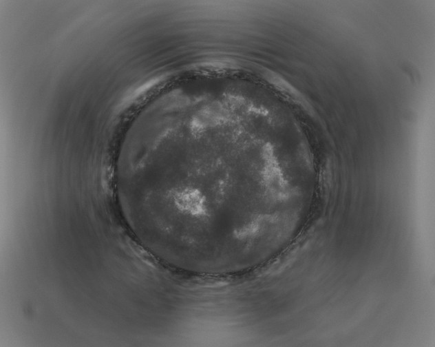 X0000113240822200910081256