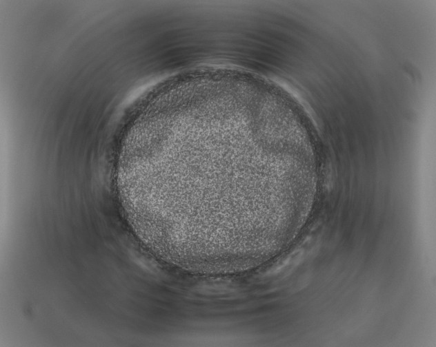 X0000113240823200910081256