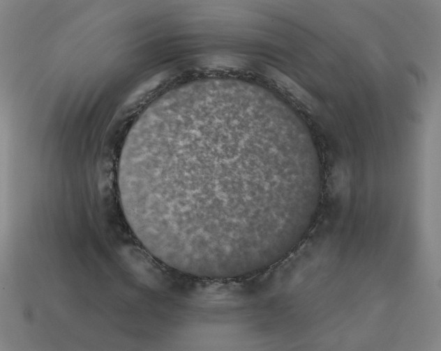 X0000113240824200910081256