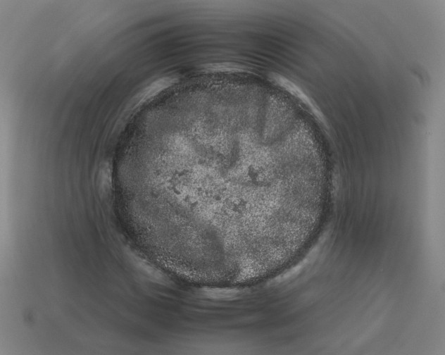 X0000113240825200910081256