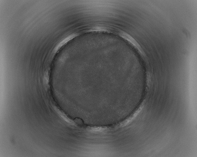 X0000113240826200910081256
