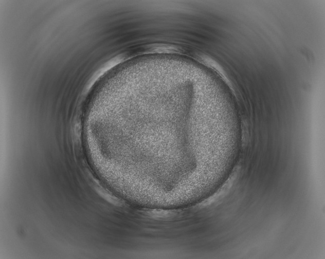 X0000113240827200910081256