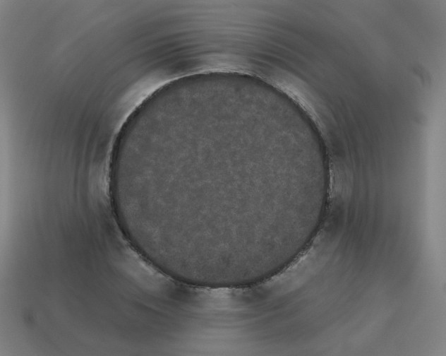 X0000113240828200910081256
