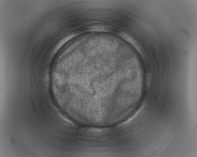 X0000113240829200910081256