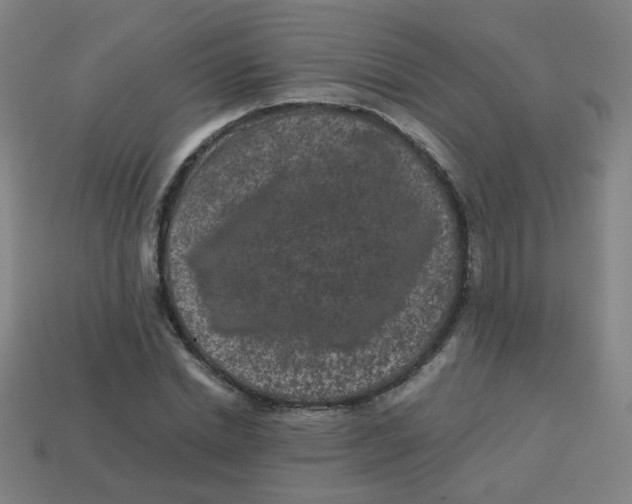 X0000113240830200910081256