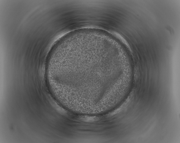 X0000113240831200910081256