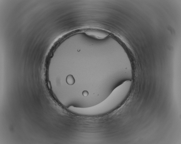 X0000113240832200910081256
