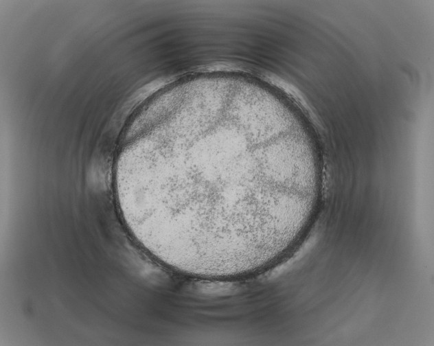 X0000113240833200910081256