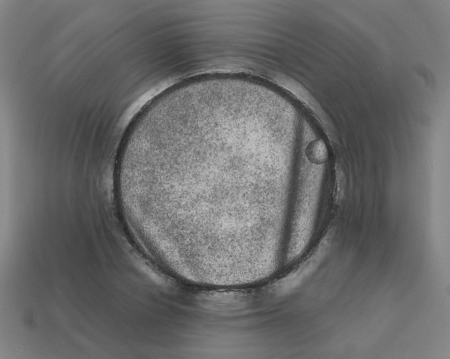 X0000113240834200910081256