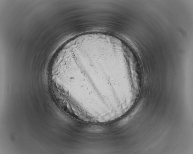 X0000113240835200910081256