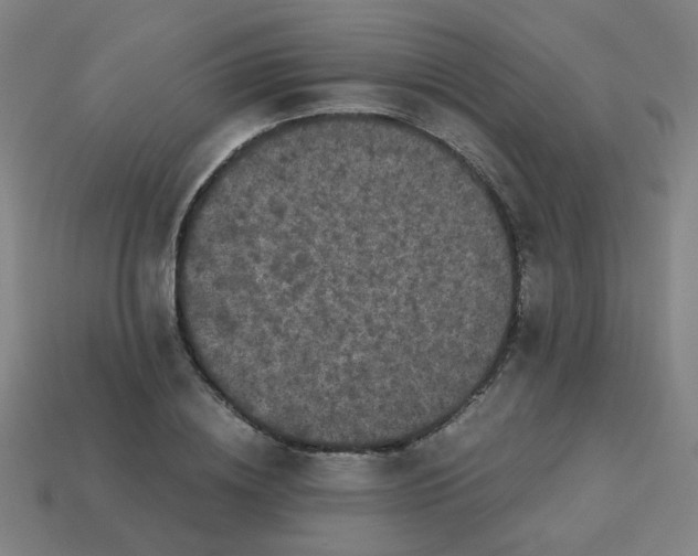 X0000113240836200910081256