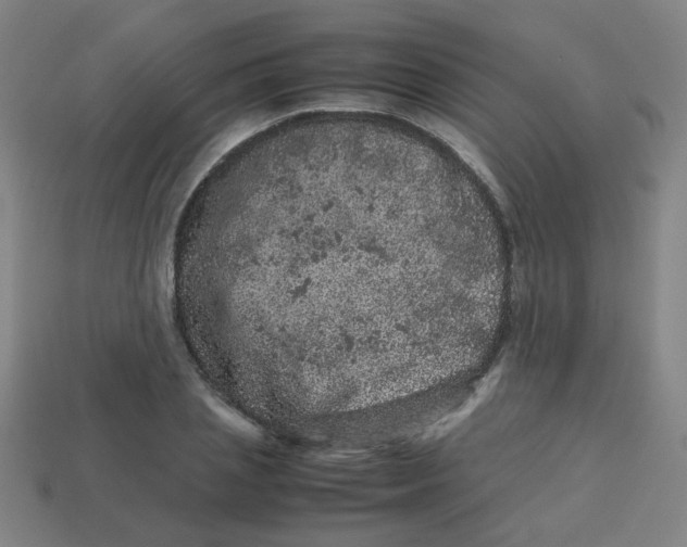 X0000113240837200910081256