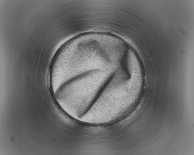 X0000113240838200910081256
