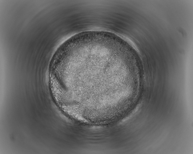 X0000113240839200910081256