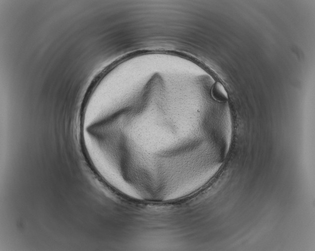 X0000113240840200910081256