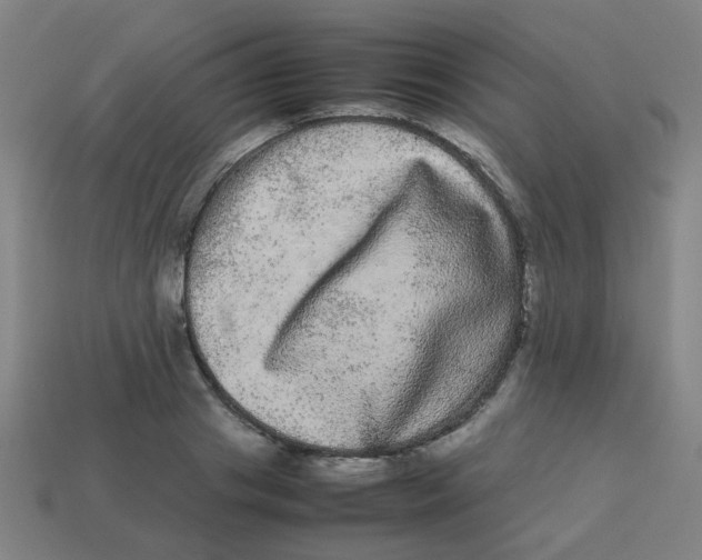 X0000113240841200910081256