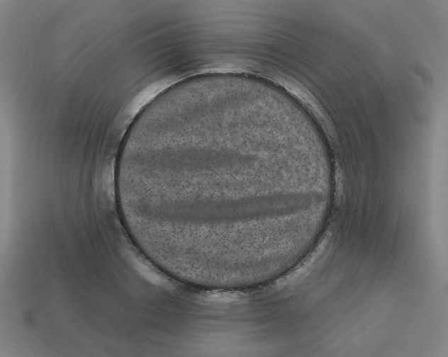 X0000113240842200910081256