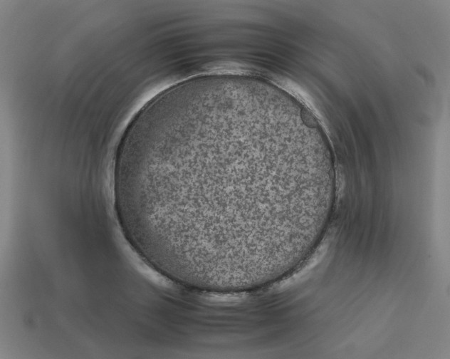 X0000113240843200910081256