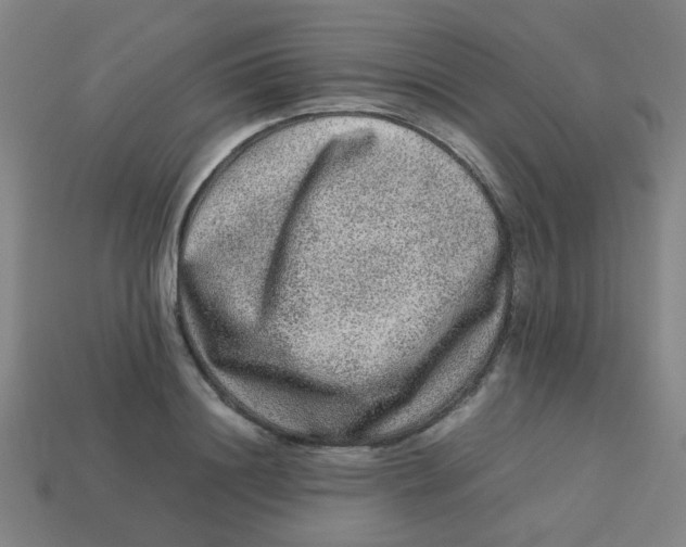 X0000113240844200910081256