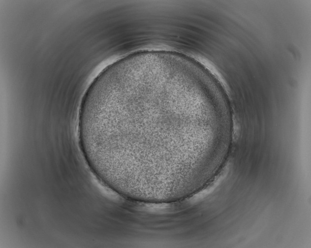 X0000113240845200910081256