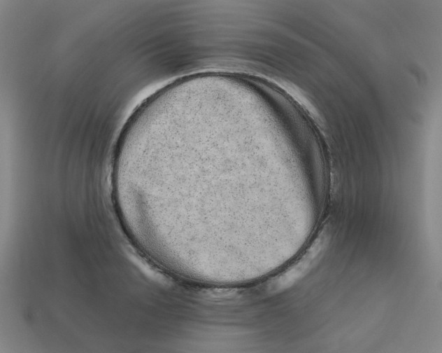X0000113240846200910081256