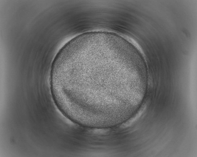 X0000113240847200910081256