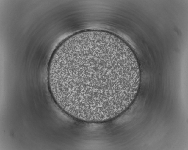 X0000113240848200910081256