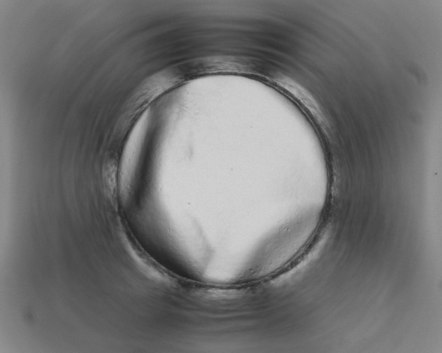 X0000113240849200910081256