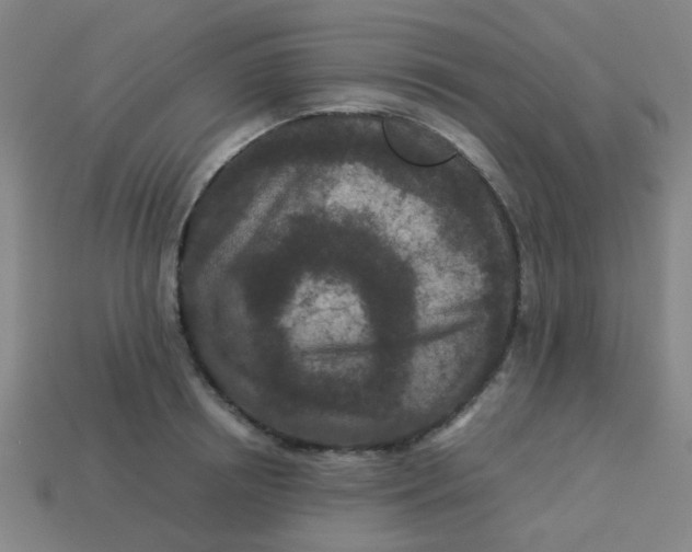 X0000113240850200910081256