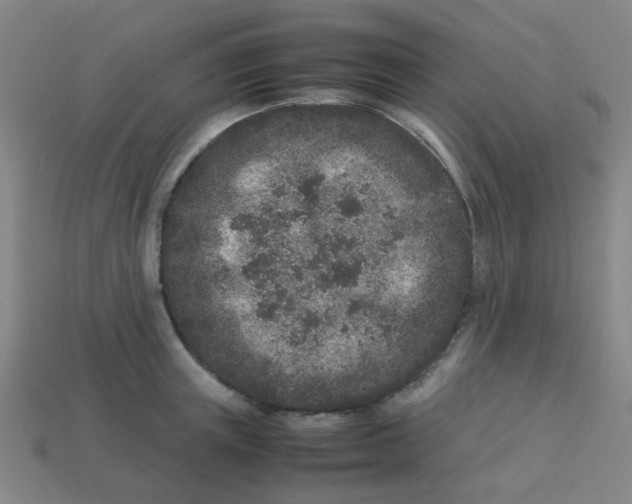 X0000113240851200910081256