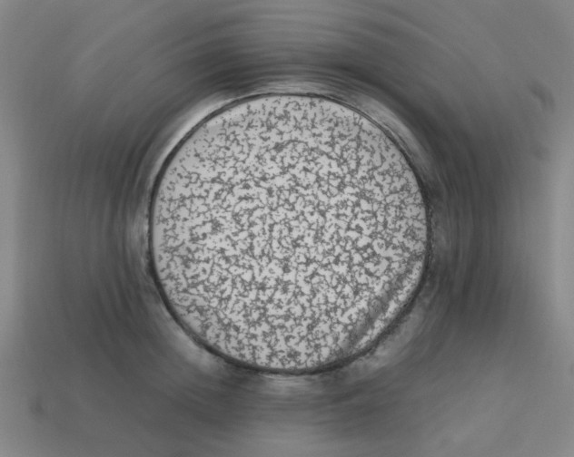 X0000113240852200910081256